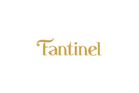 Fantinel - Consulenza Marketing