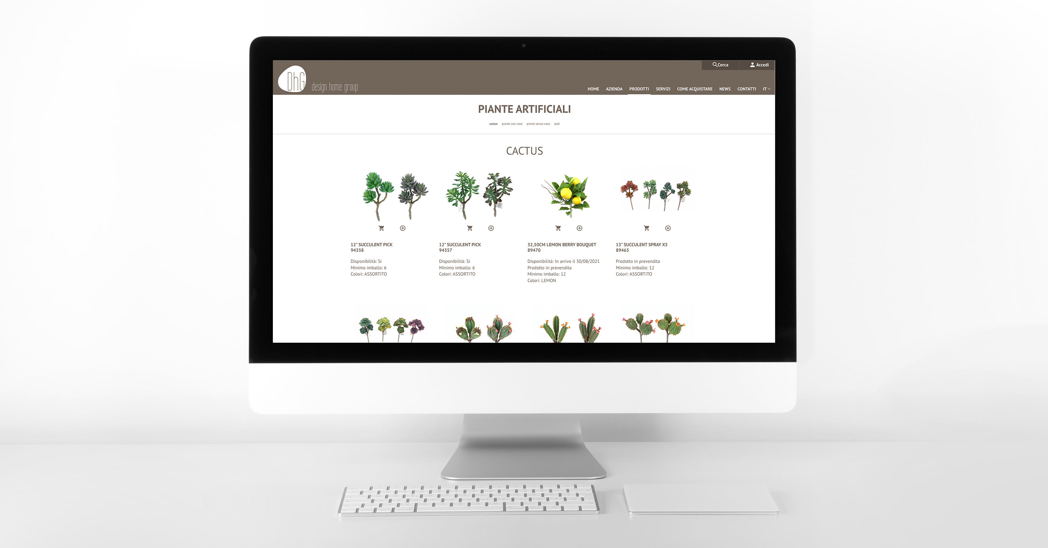 DHG | Spider 4 Web Srl